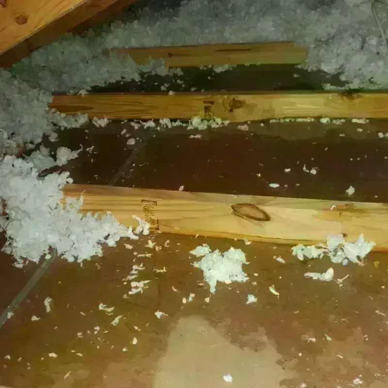 Attic Water Damage in Corona, CA